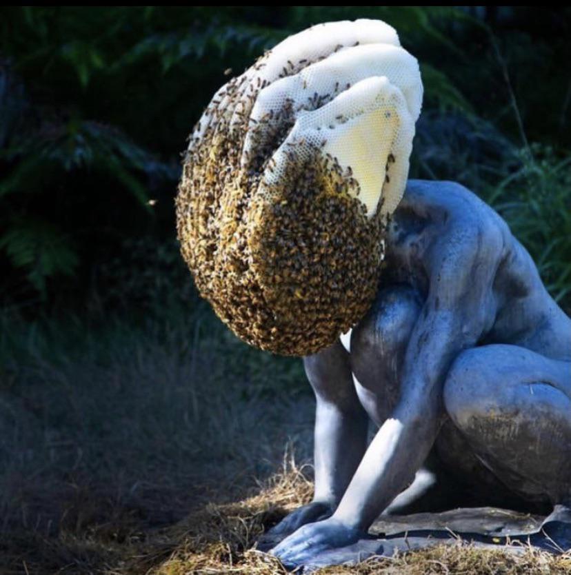 Bee hive on the head of a statue