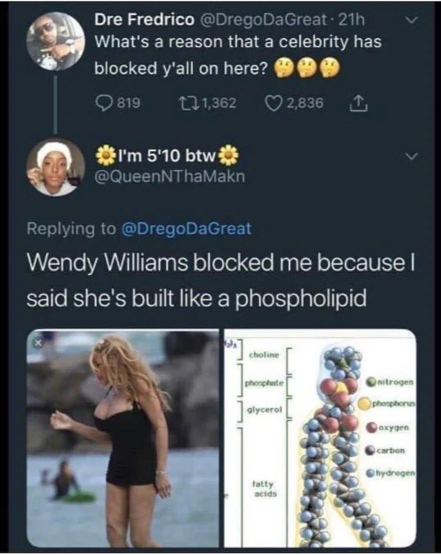 Wendy Williams blocked me because I said she's built like a phospholipid