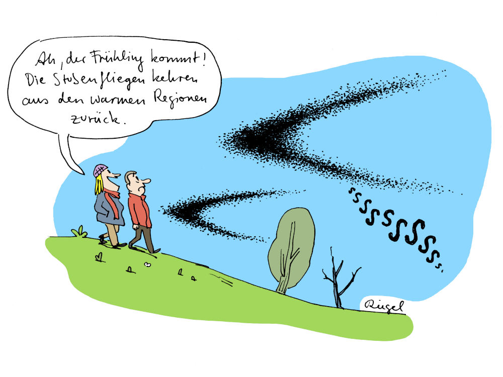 Der TITANIC Sonntags-Cartoon von Leo Riegel