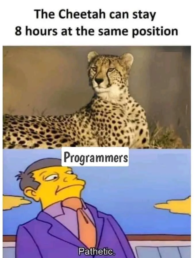 The Cheetah can stay 8 hours at the same position – Programmers: “Pathetic.”