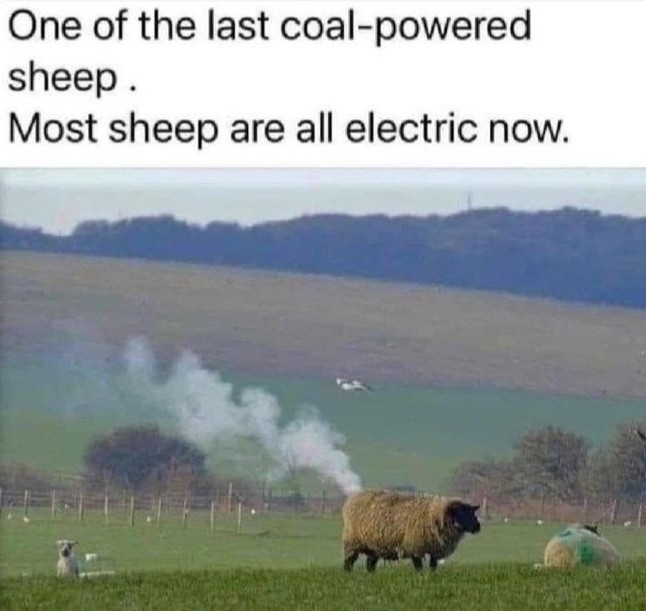 One of the last coal-powered sheep. Most sheep are all electric now.
