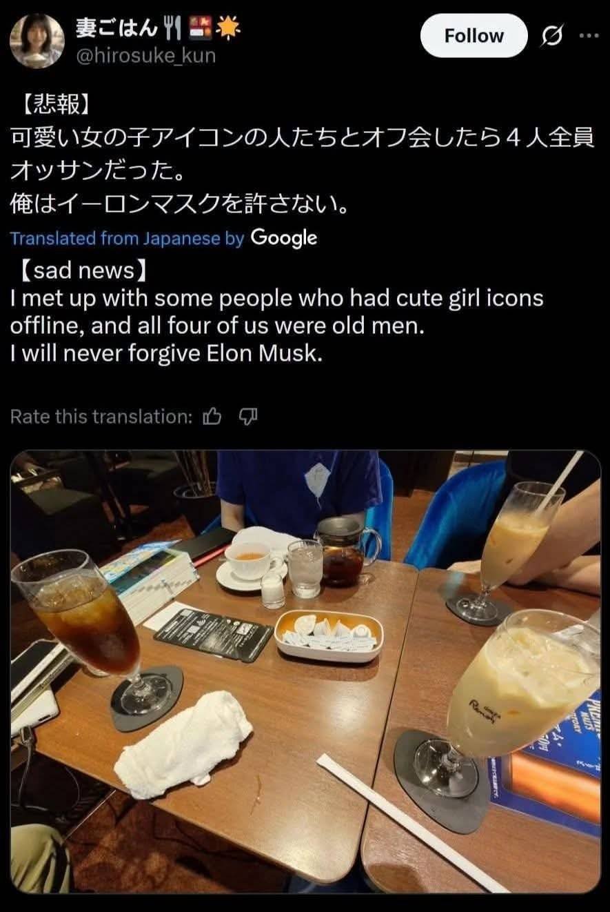 Sad news - I met up with some people who had cute girl icons offline, and all four of us were old men. I will never forgive Elon Musk.